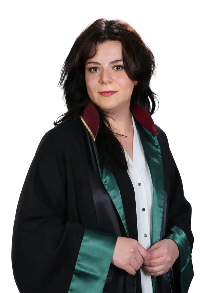 Avukat bengi memis ankara 725x1024 1